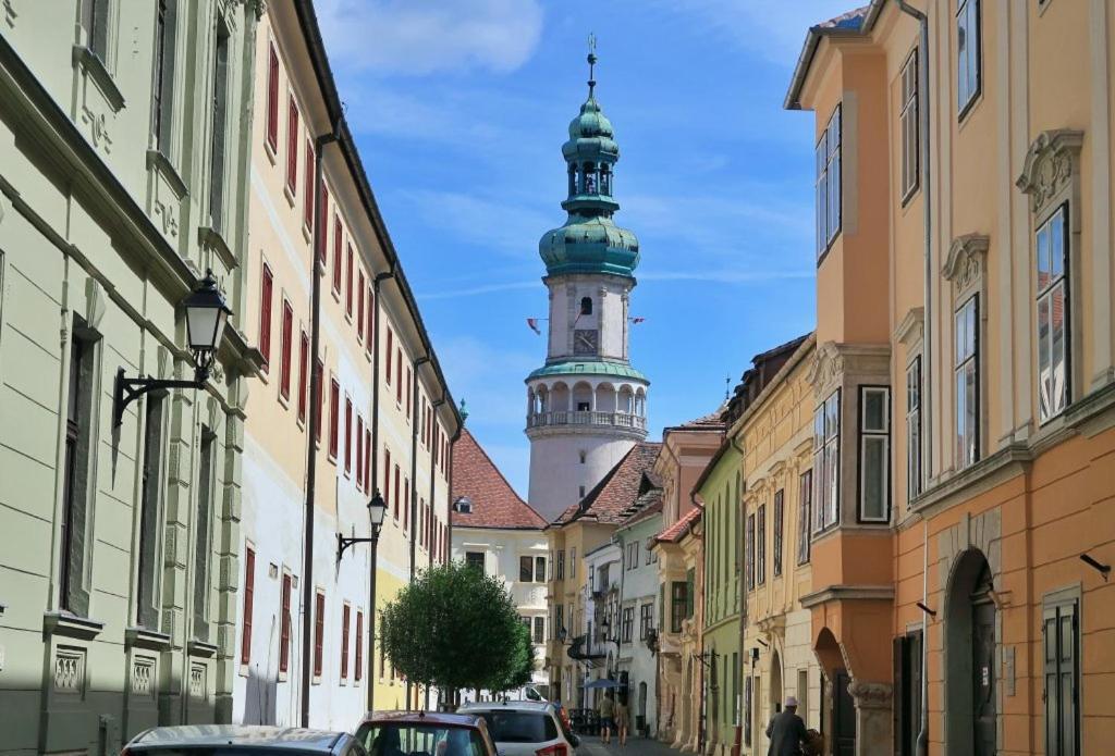 Room In The City 2 Sopron Bagian luar foto