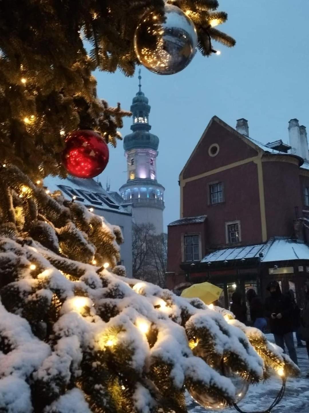 Room In The City 2 Sopron Bagian luar foto